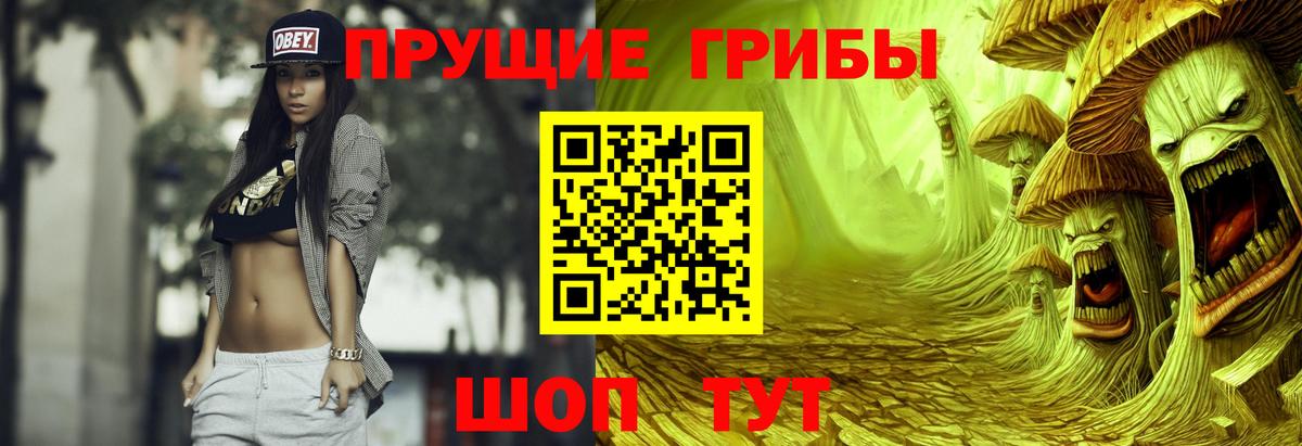 Гусь-Хрустальный  Галлюциногенные грибы Psilocybe  Вход с VPN 